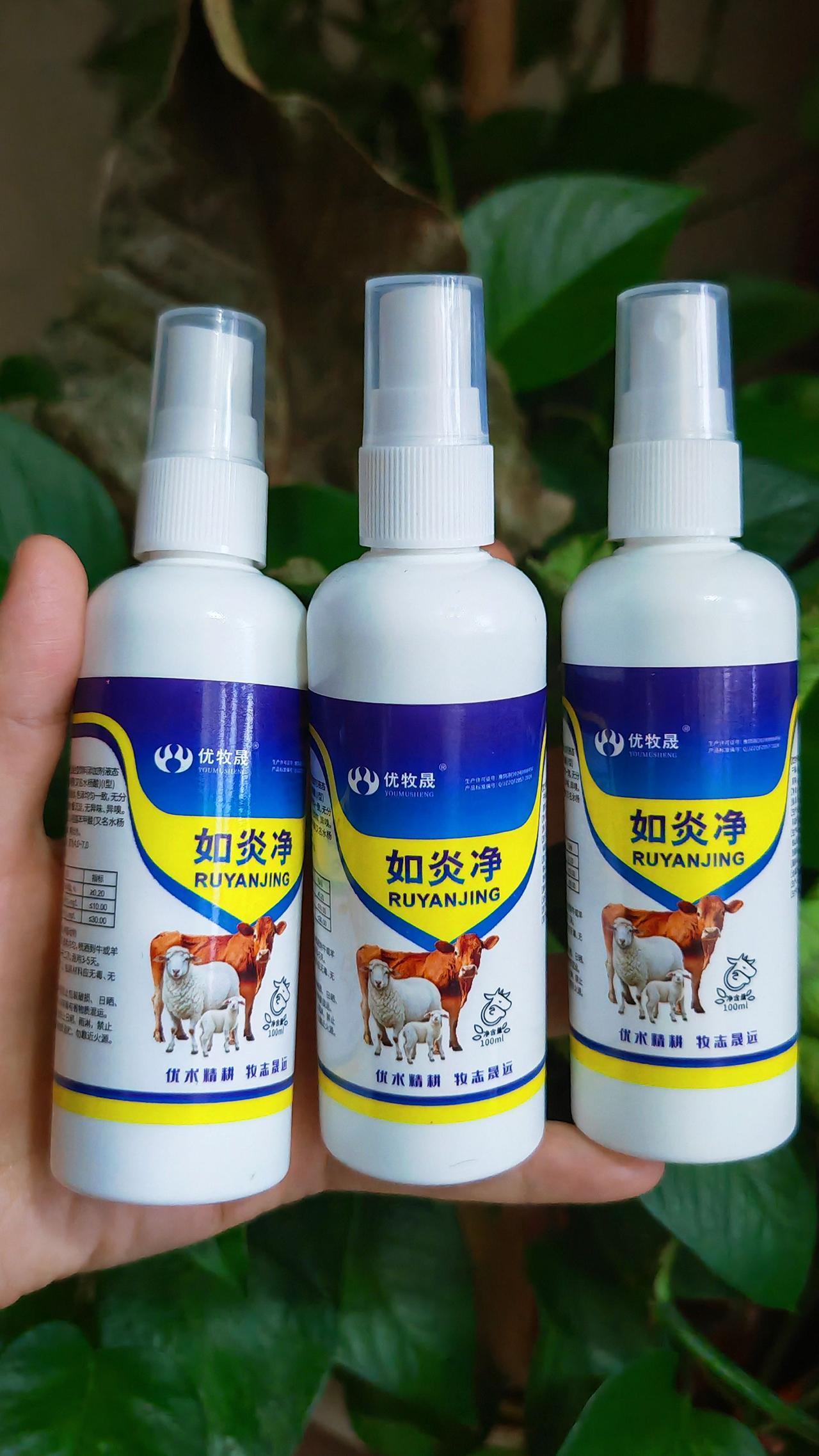 养羊人 农村养羊 牛羊养殖