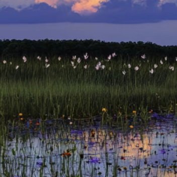 每日一善   每日一善   阳光信用 偶尔一些很努力也不被重视，很辛苦却得不到回
