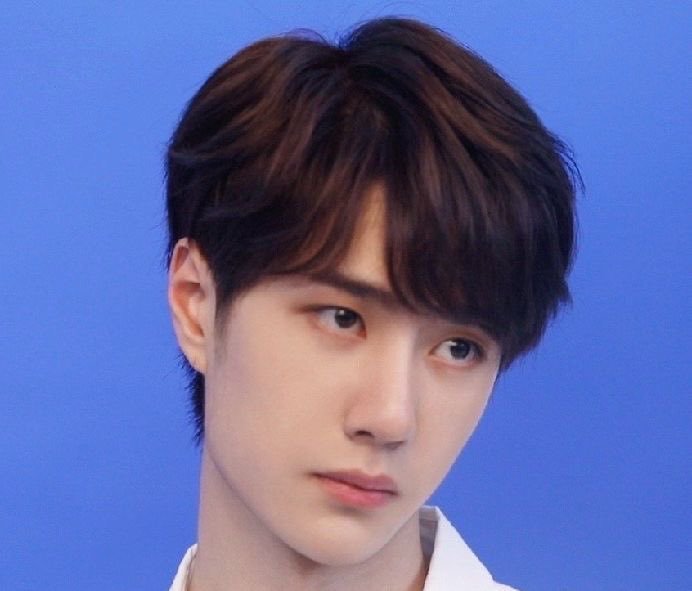 委屈小狗和生气小猫 