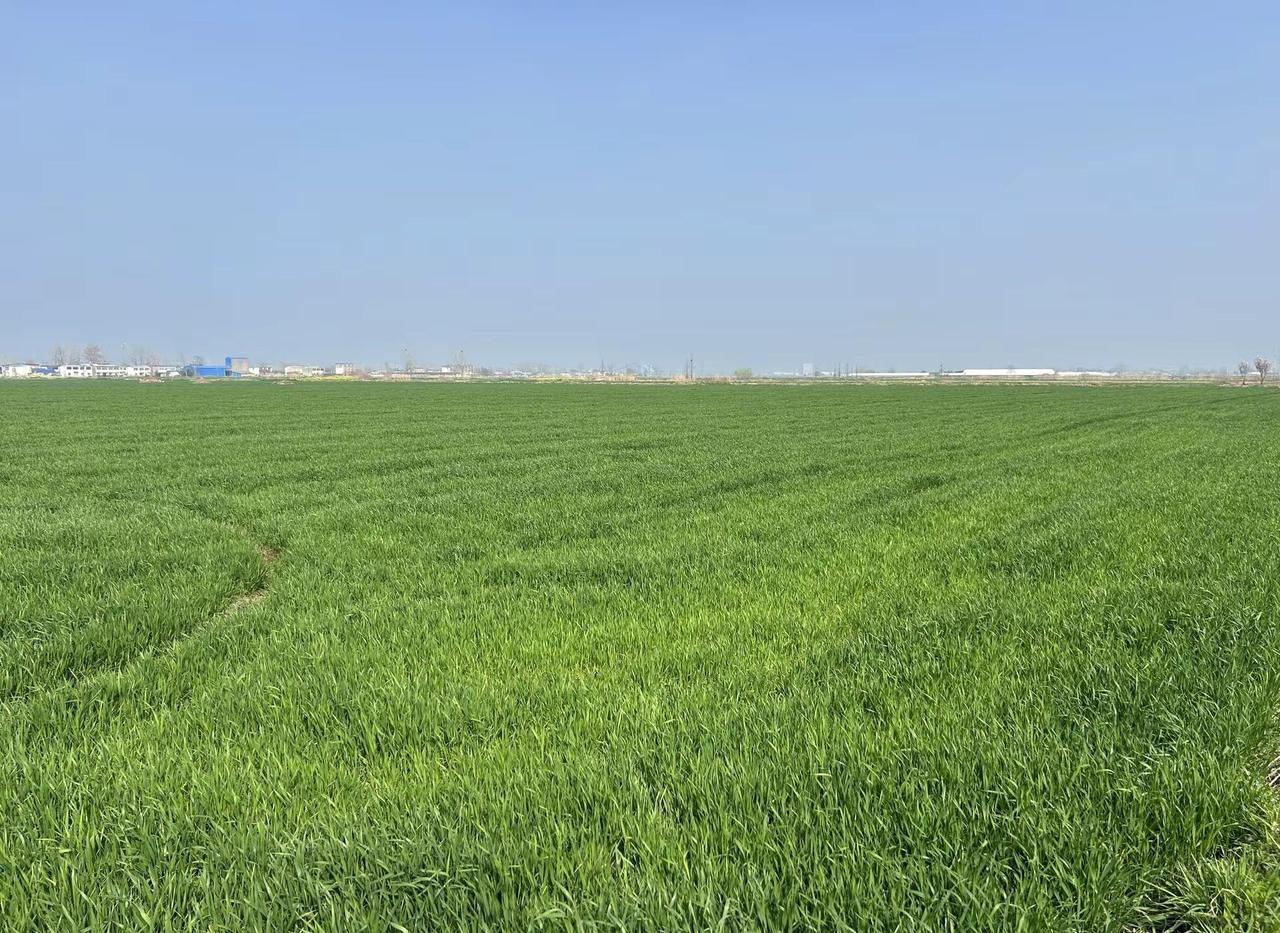 春天里，醉人的绿，可爱的蓝，心安的地方。