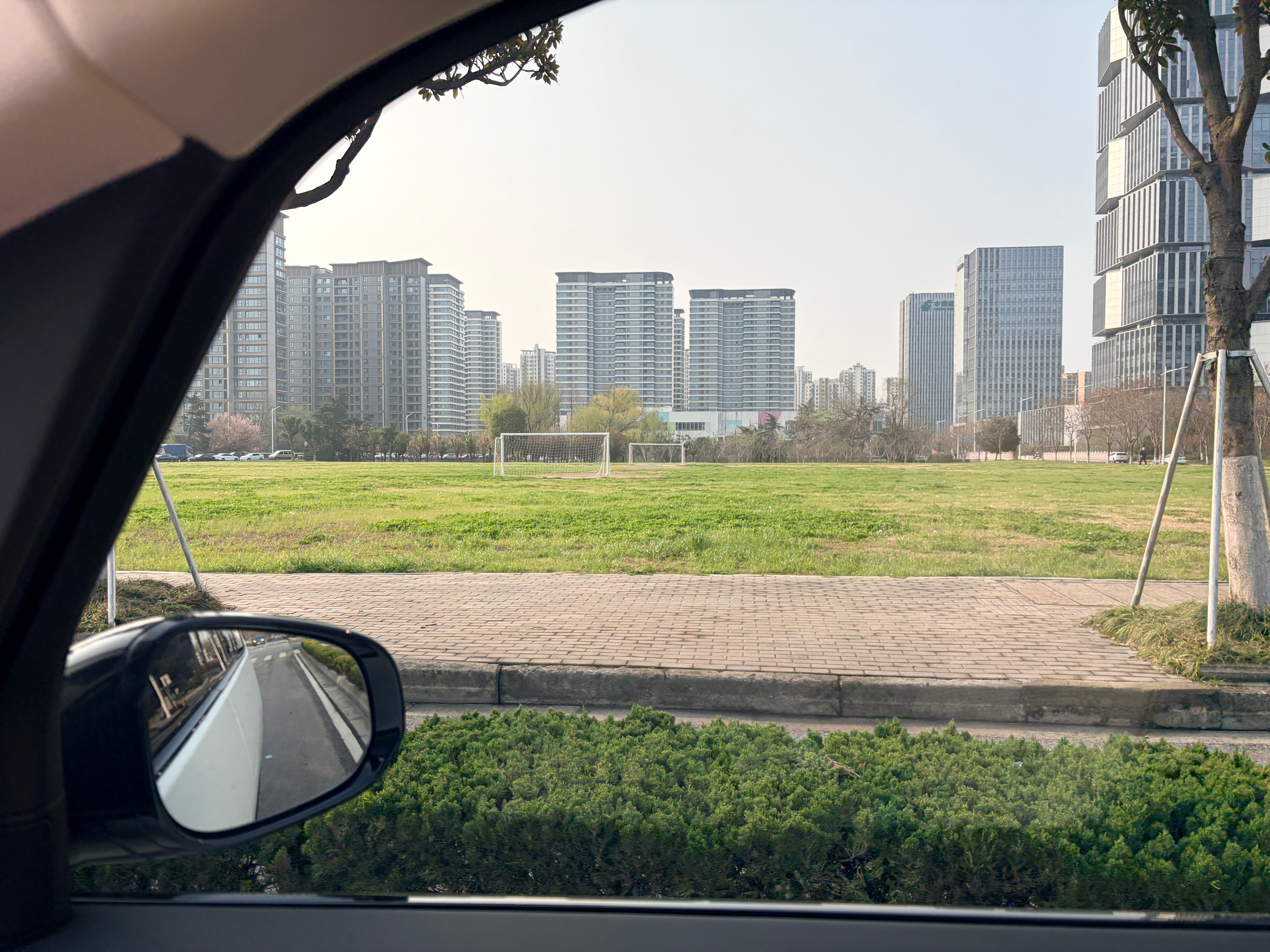 苏州是真松弛，小区旁边的湿地草坪被合理改建成了足球场，也是遛狗的好去处，有时候还