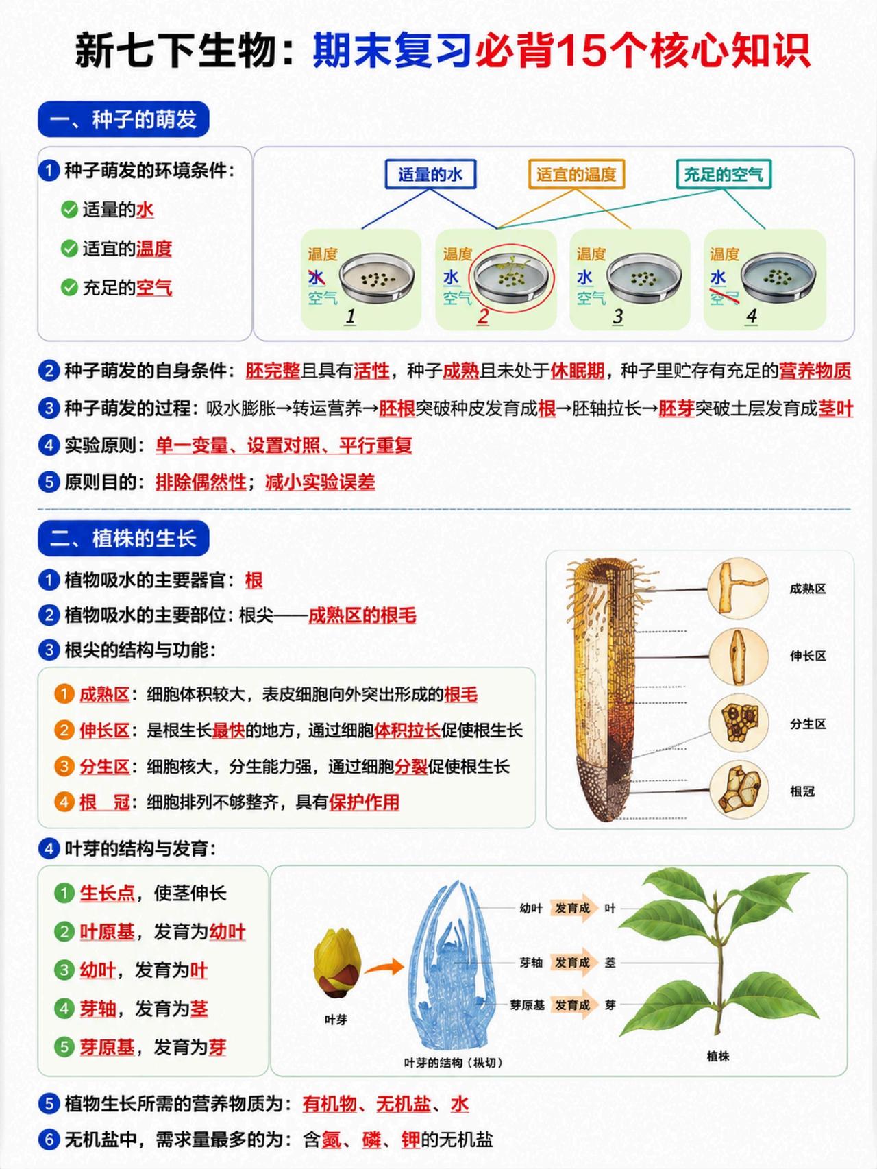 新七下生物期末复习必背15个核心知识点❗