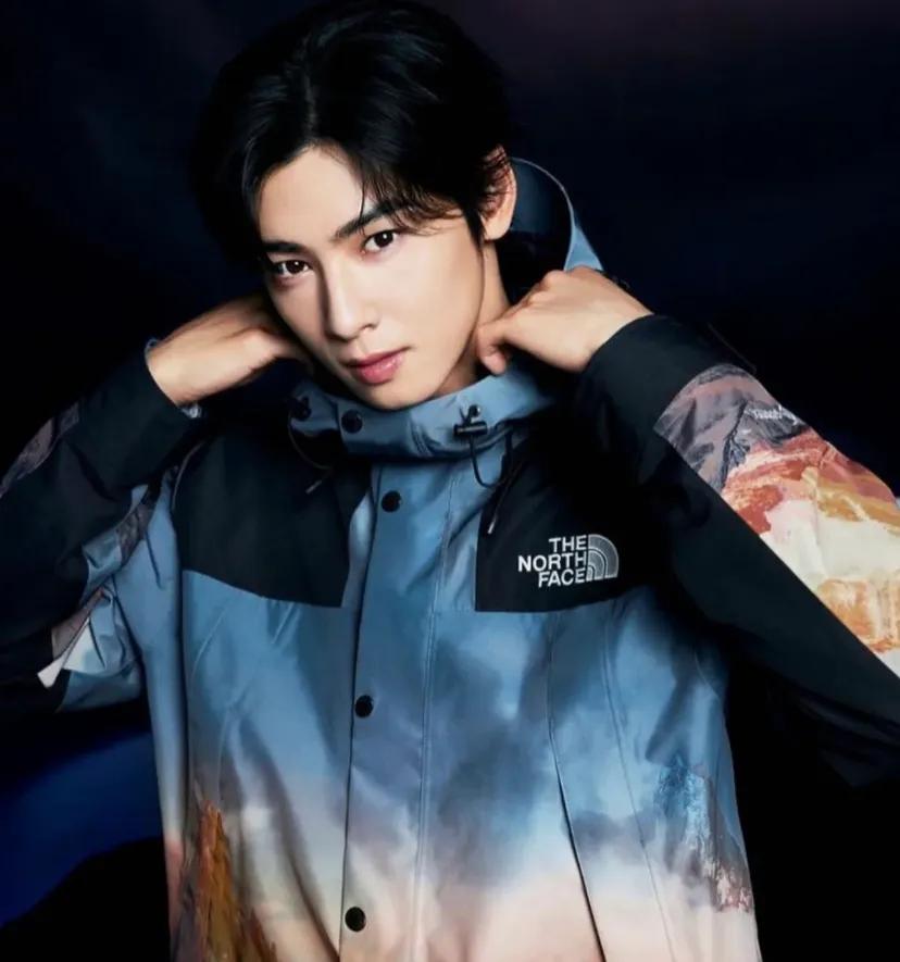 户外品牌也开始挤占韩国市场
@TheNorthFace官宣韩国艺人车银优为品牌代
