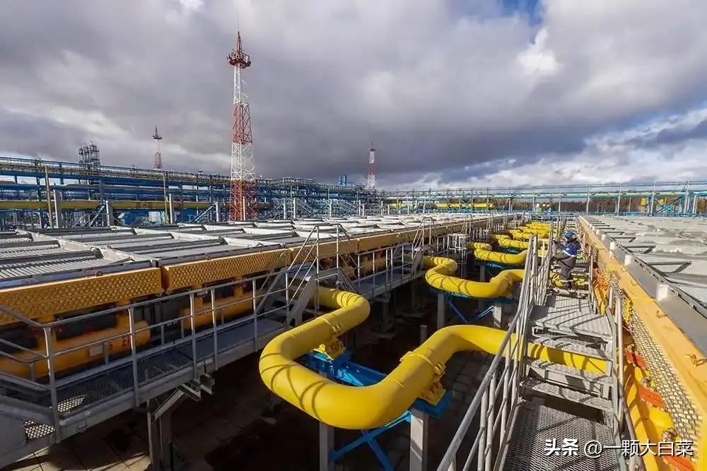 霍尔木兹海峡被封锁后，欧洲能源价格暴涨，关键时刻俄宣布一个更扎心的决定！

3月