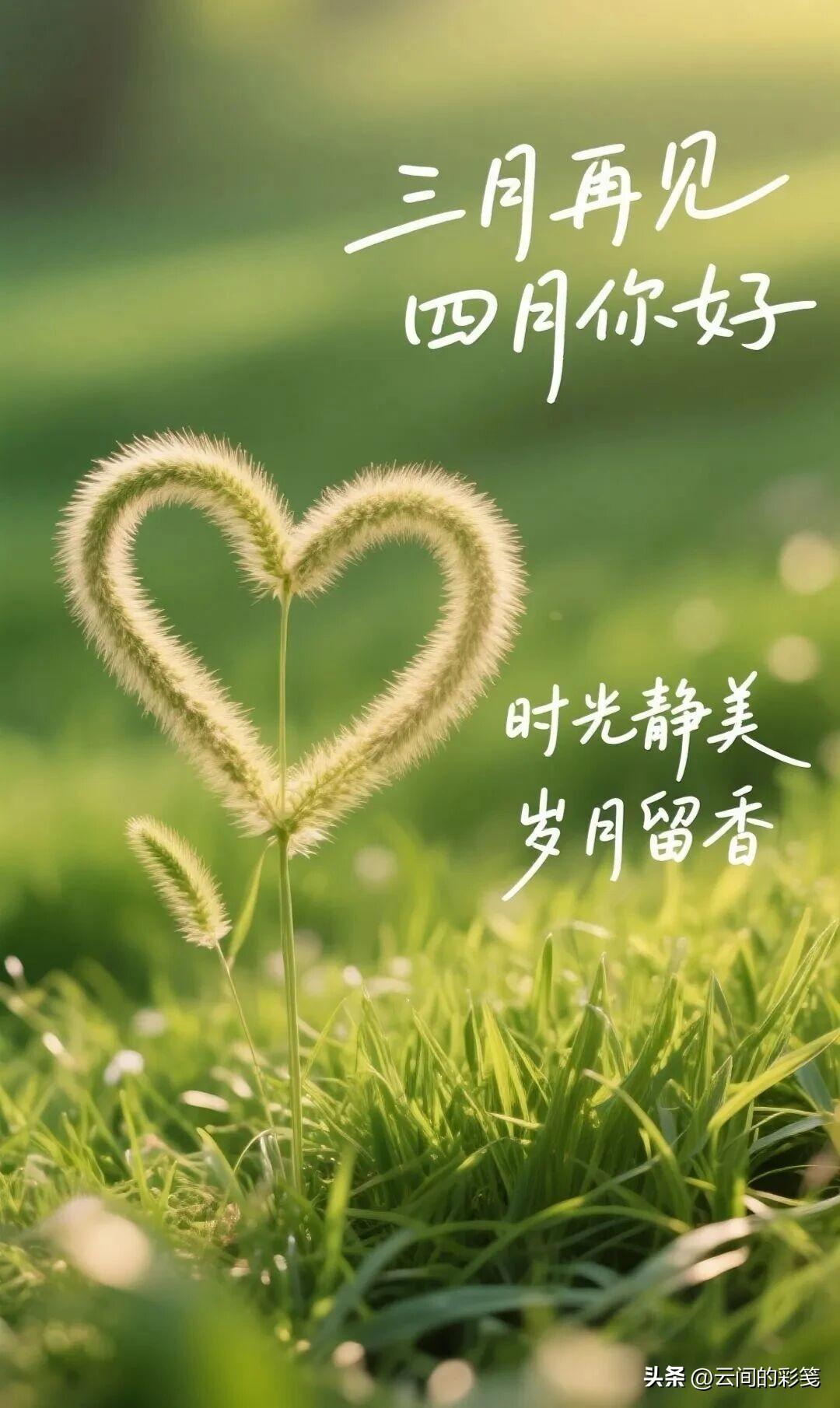 人生不管有多么迷茫，或许记得，或许遗忘，我们都不能在回忆里徘徊，未来一定会有份温