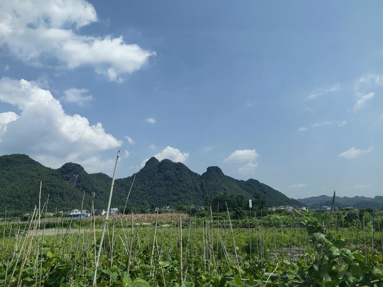 大暑之后的天空，是治愈的颜色，也是盛夏最后的温柔。
夏日生活打卡季