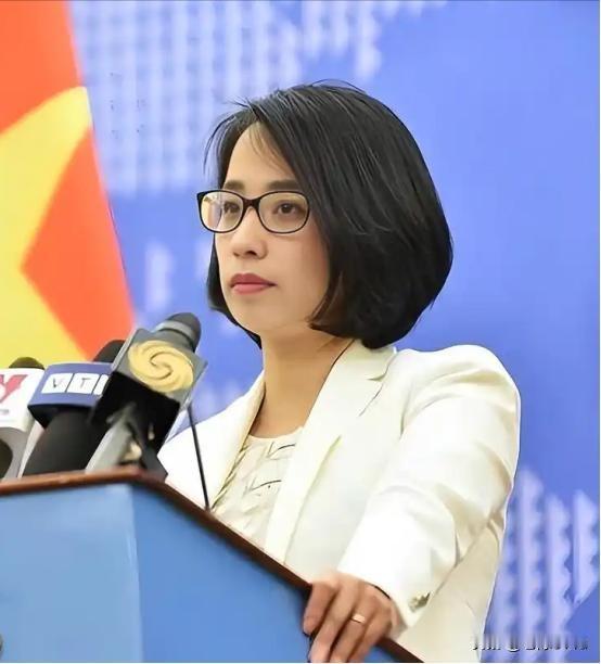 越南外交部发言人称外国在西沙群岛未经允许的活动非法2026年1月9日越南外交部发