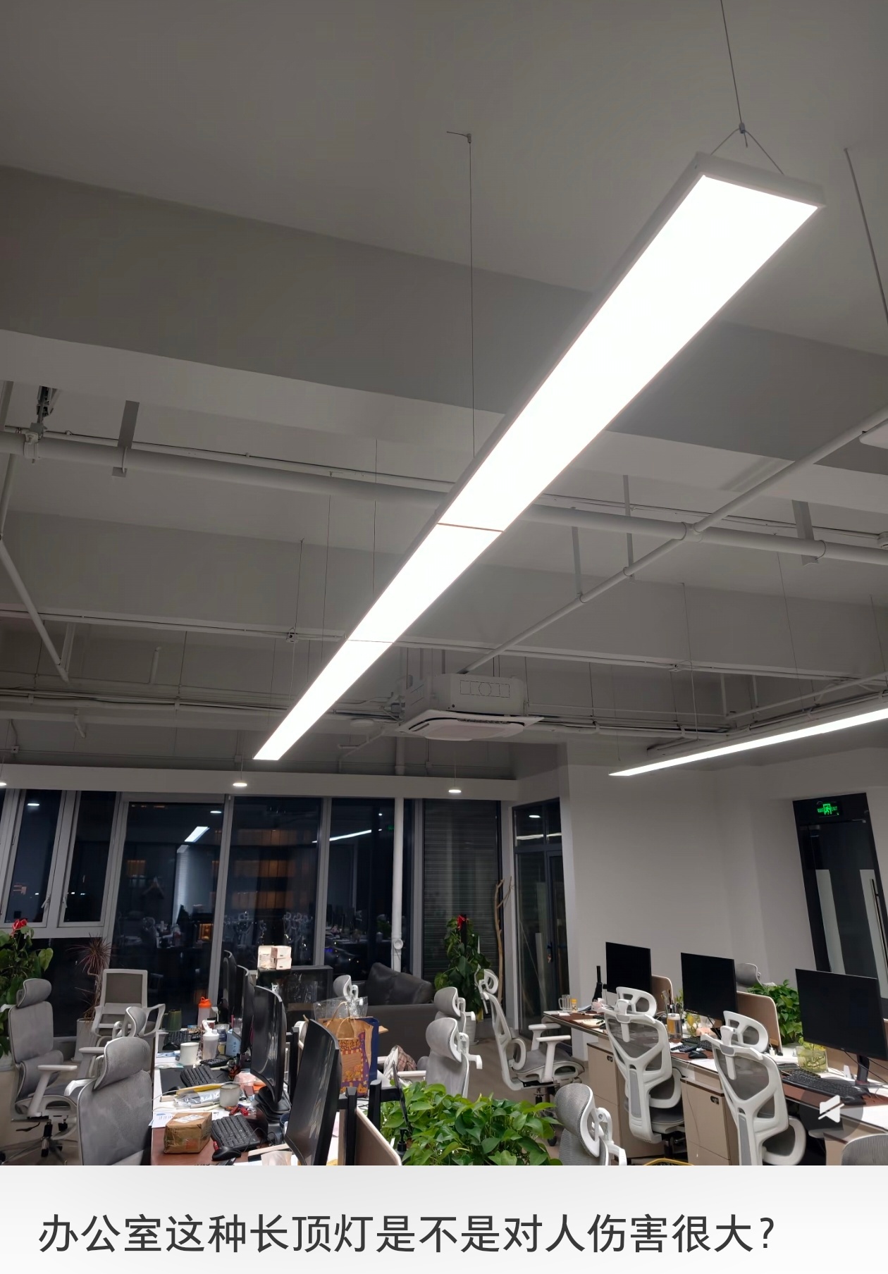 我还是建议很多上班族不要长期忍受办公室刺眼的顶部长条灯。尤其是抬头就直面强光的工
