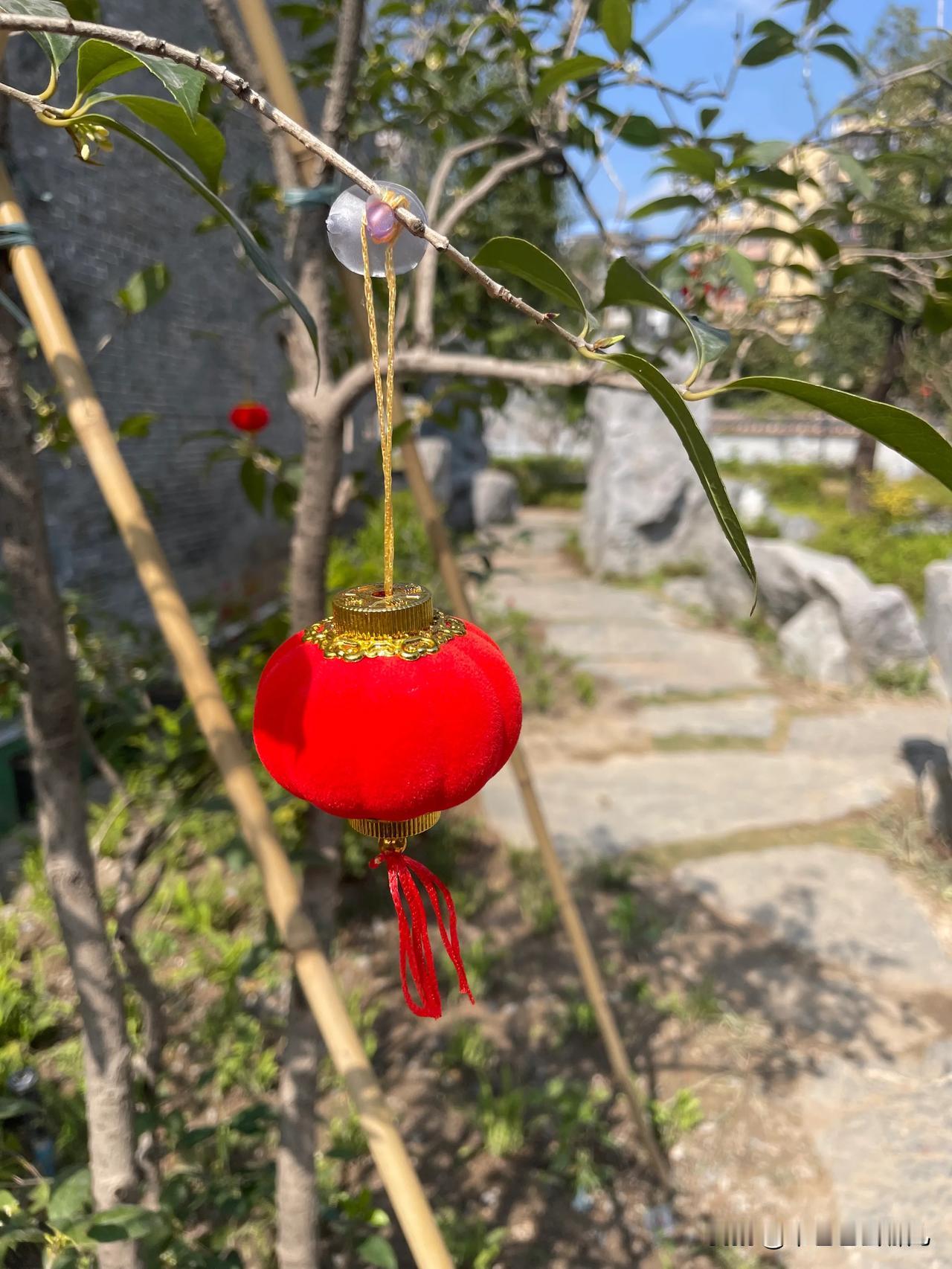 百家年味，新年旅行，来佛山梁园，一头扎进浓浓的百家年味里。踏入园中，只见树上密密