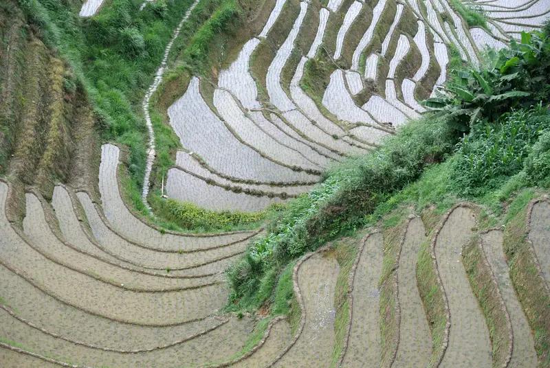 当城市的烟火被拥挤的人群稀释，我逃向粤北的深山中。清晨站在梯田的田埂上，薄雾从山