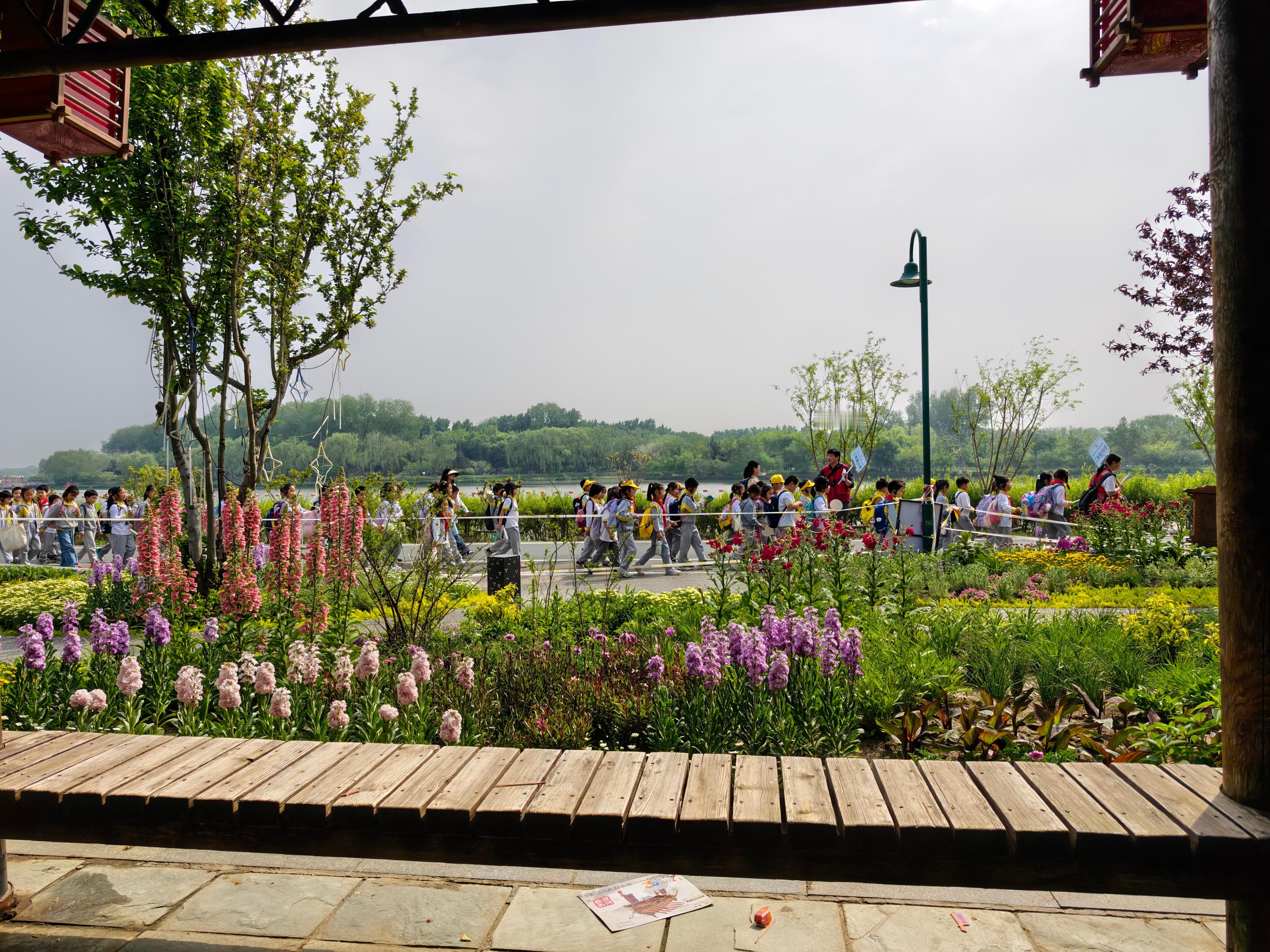 偶遇一帮小学生出来春游突然想骑摩托从他们身边路过听取蛙声一片。