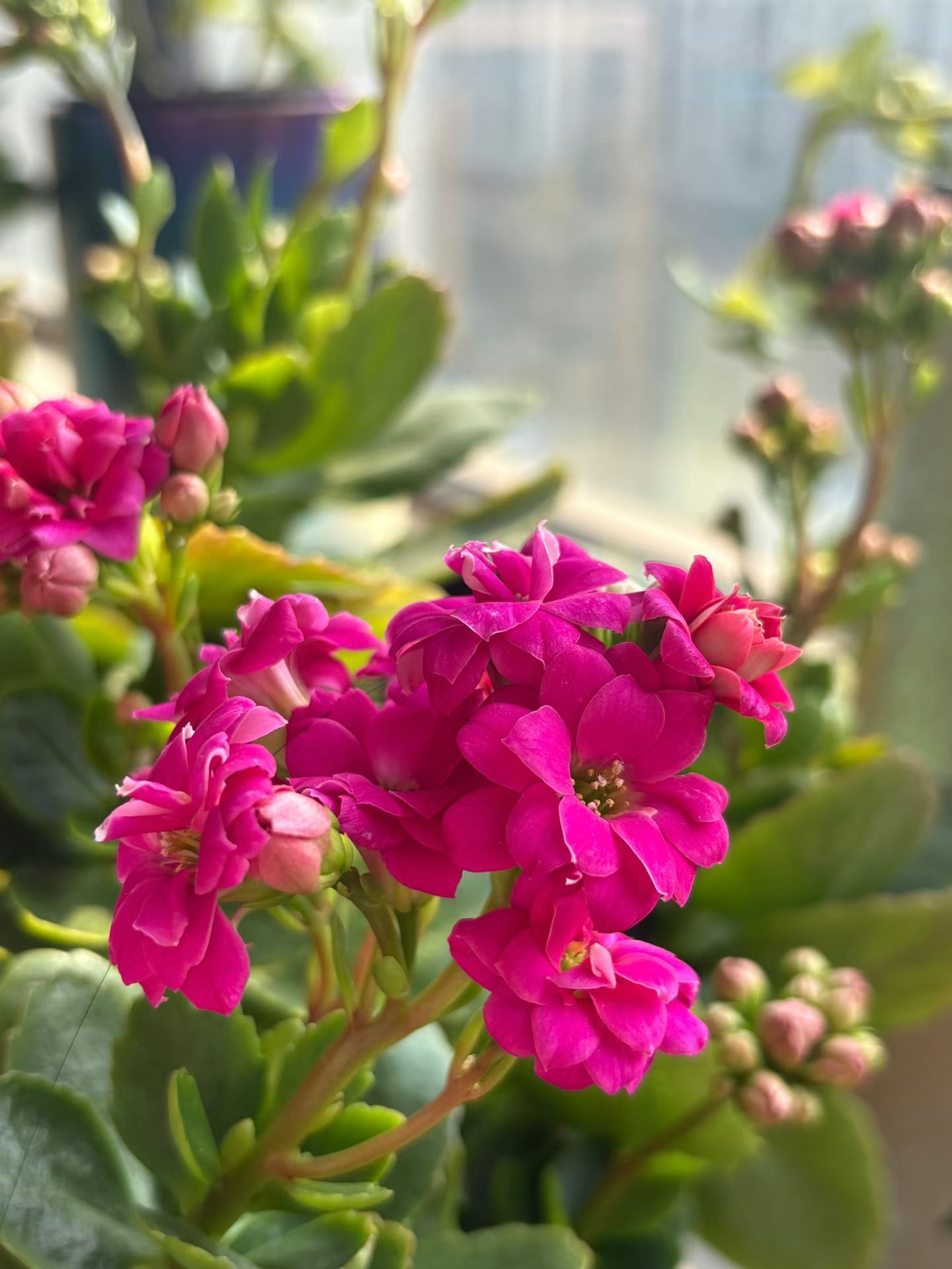 书店、咖啡馆这些看着“耗时间”的地方，恰恰是文明的庇护所。它们在说：快是工具，慢