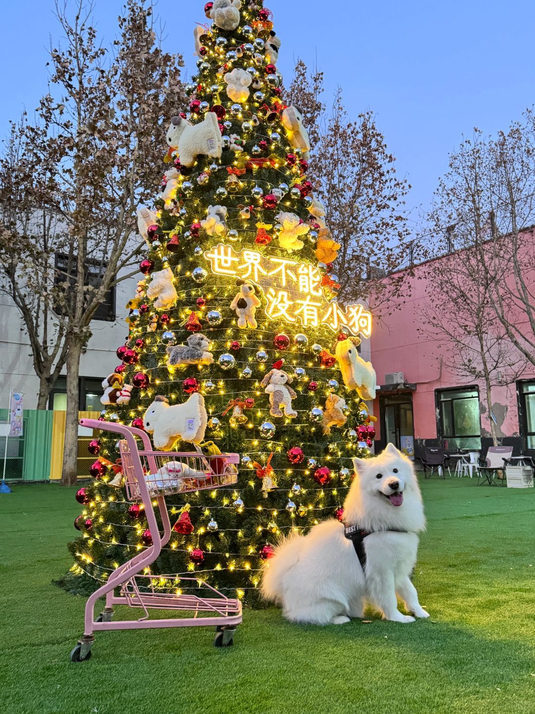 世界不能没有小狗|打卡小狗专属圣诞树