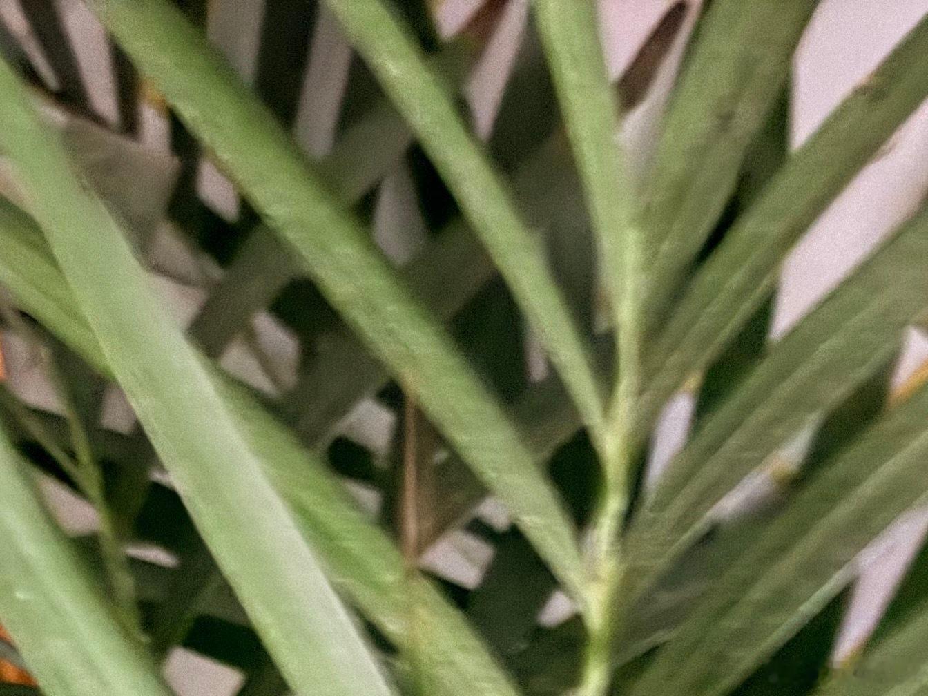 心怀善意，所遇皆温柔。 