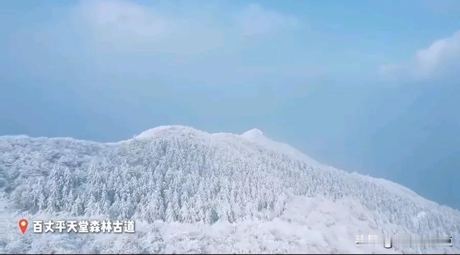 在杭州余杭的一隅，百丈平天堂森林古道静卧于天地之间，每至冬日，这里便成了被雪花精