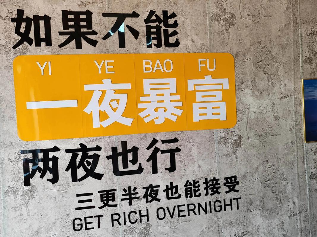 向太陈岚公开谈及小儿子向佑，直言他一心只想一夜暴富、心态扭曲。她曾出资数百万支持