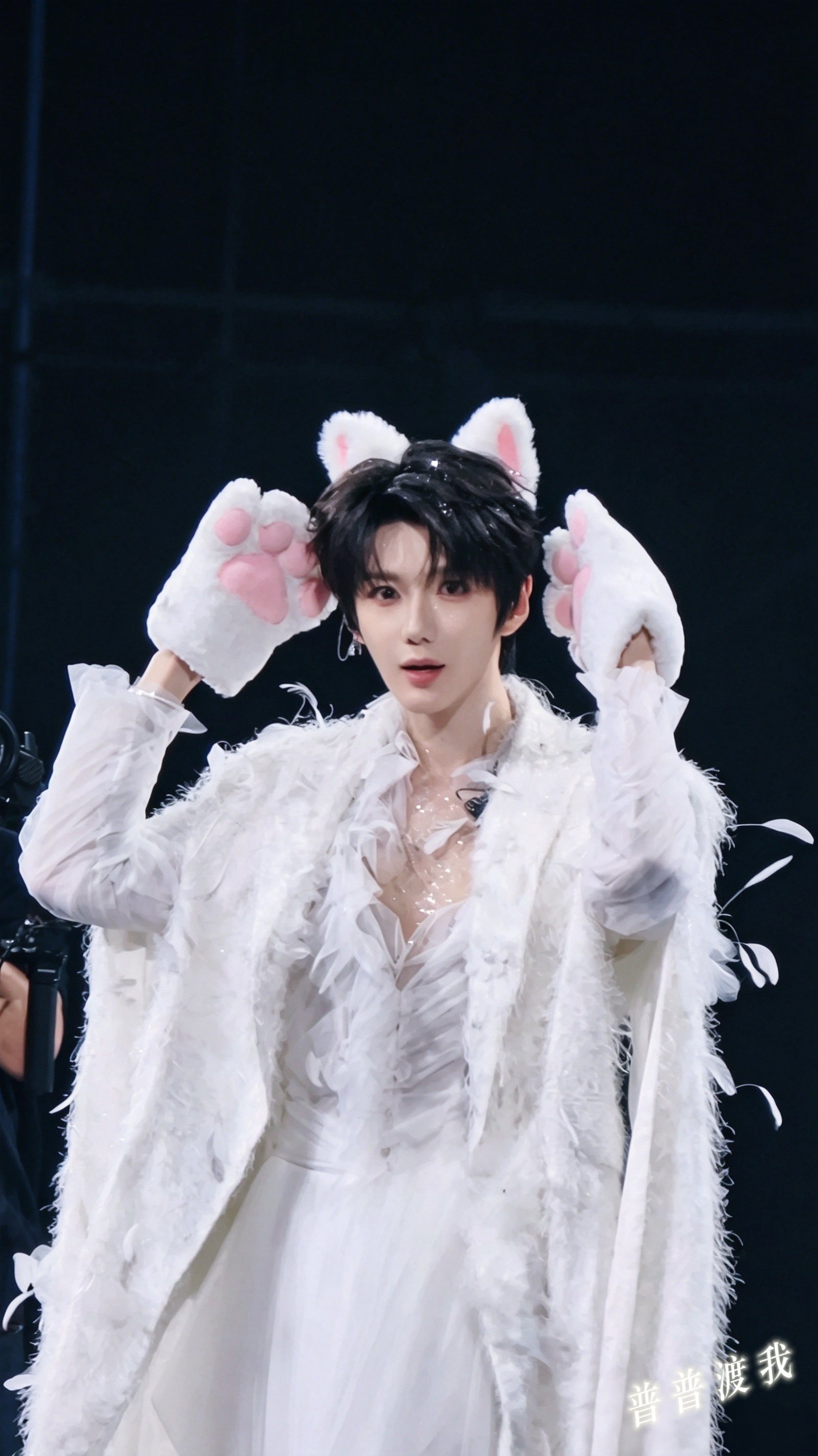 小普咪震惊 ฅ^•ﻌ•^ฅ 🫨 ​​​