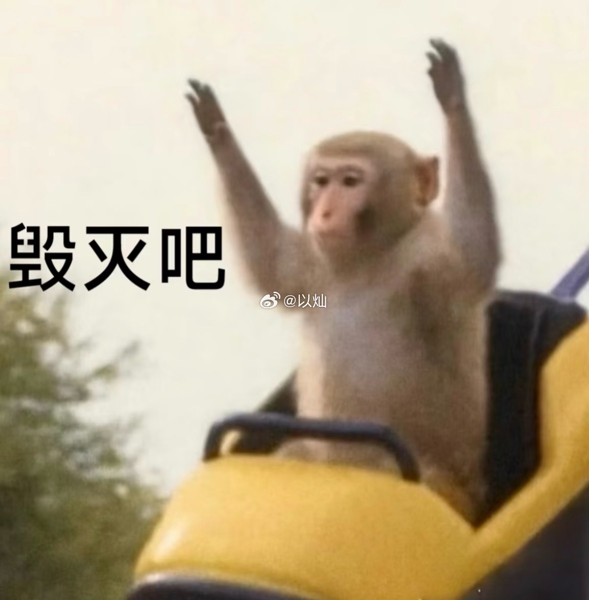 白天呼呼睡 晚上就熬熬熬熬 毁灭吧 