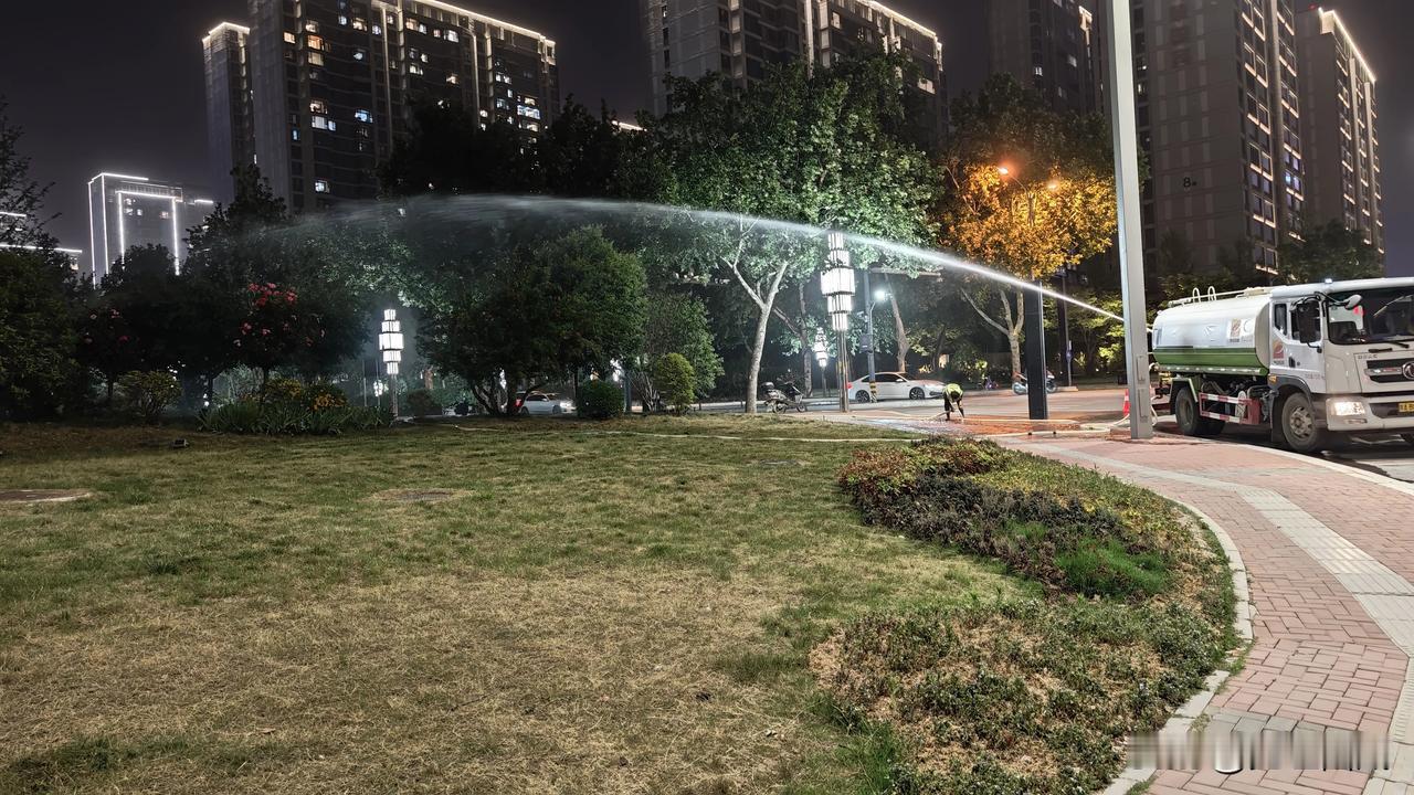庄稼是农民的心血，今年罕见的持续性干旱，使得农民心如刀割，束手无策，祈祷🙏🏻