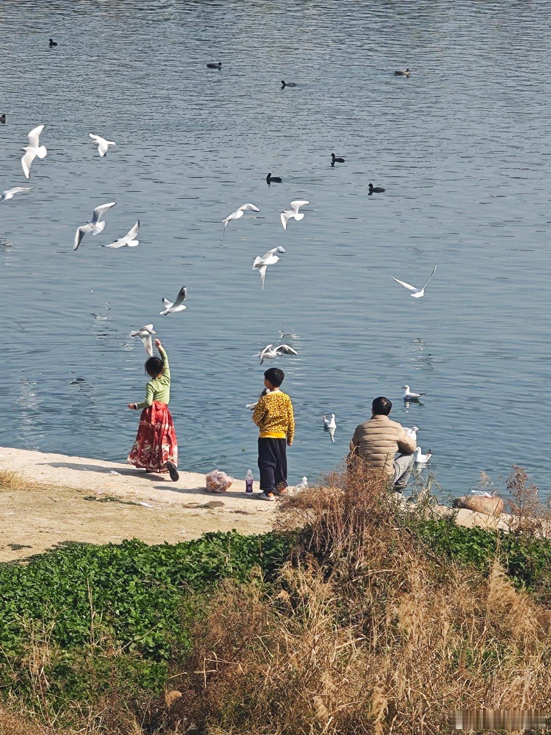 今天我们这边气温20度，江里都是鸭子和白鹭。春江水暖鸭先知在这一刻具象化。春江水
