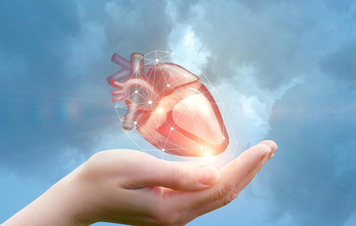 布洛芬、双氯芬酸、阿司匹林、萘普生、吲哚美辛、美洛昔康、洛索洛芬、塞来昔布、尼美