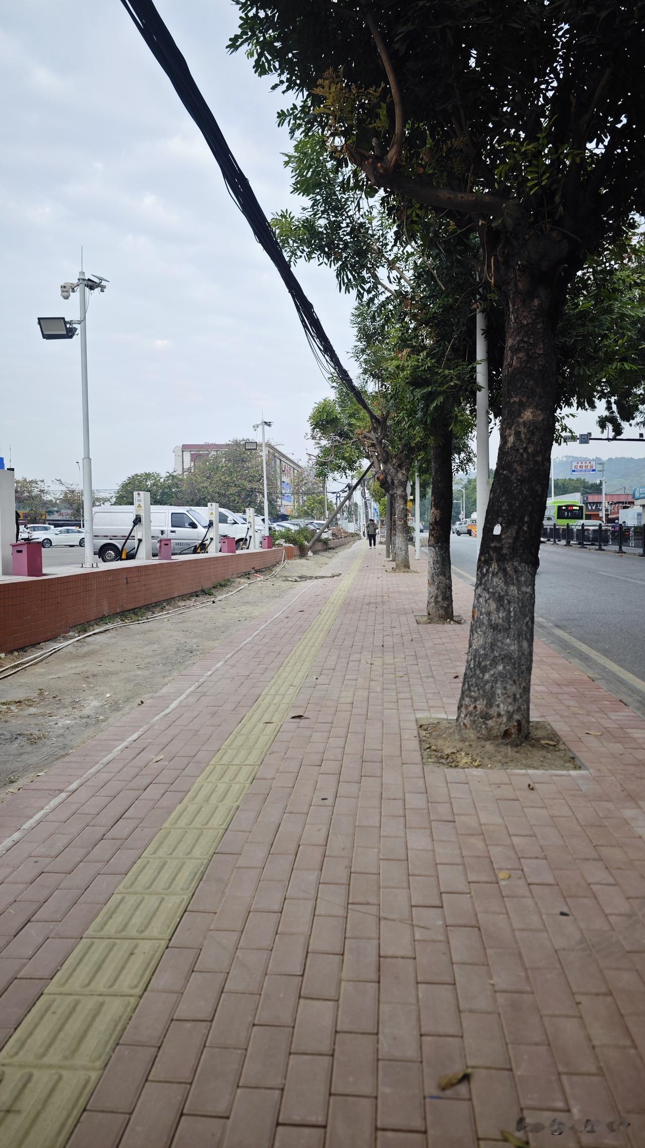 金岭南路看来真的短时间内不扩建了，这几个月已经从保利时光印象挖到差不多黄山鲁入口