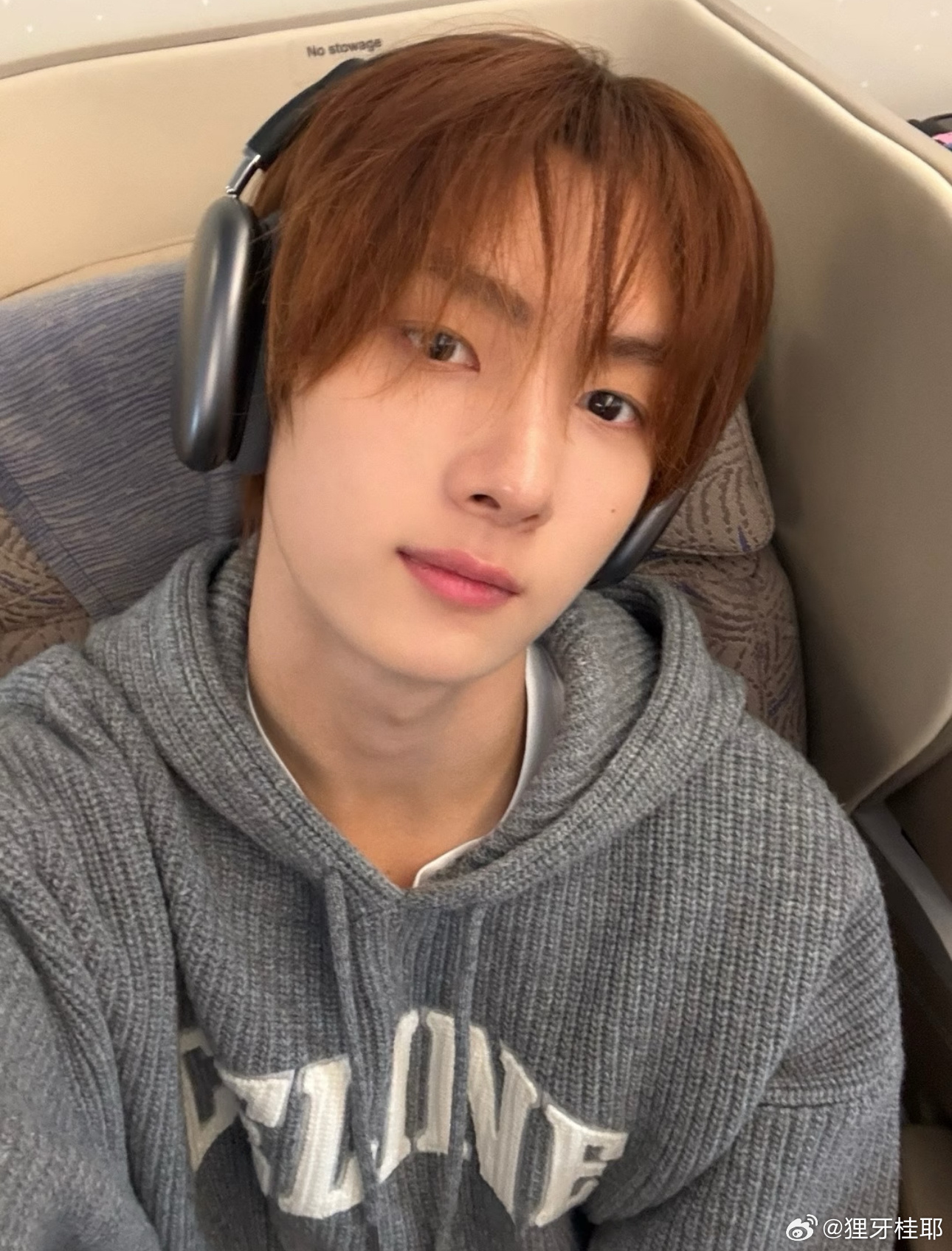 放只小🐹在这里 