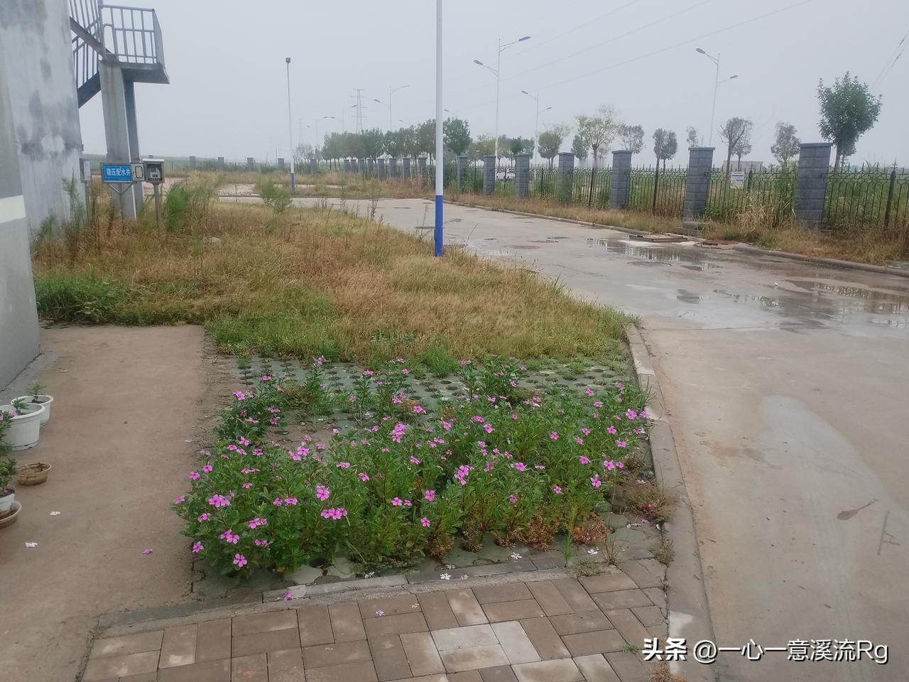 众友友早上好！
今天是8月29日星期六，日出时间5.36分，日落时间6.45分，
