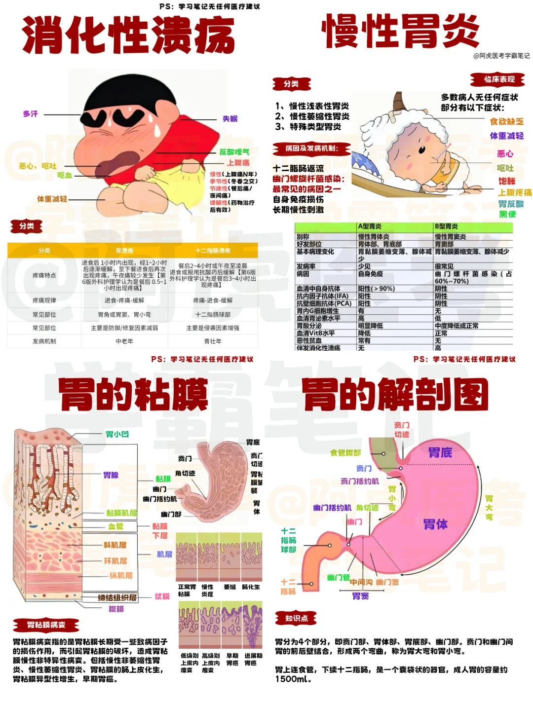 医学生笔记📒｜消化系统合集3👆🏻
