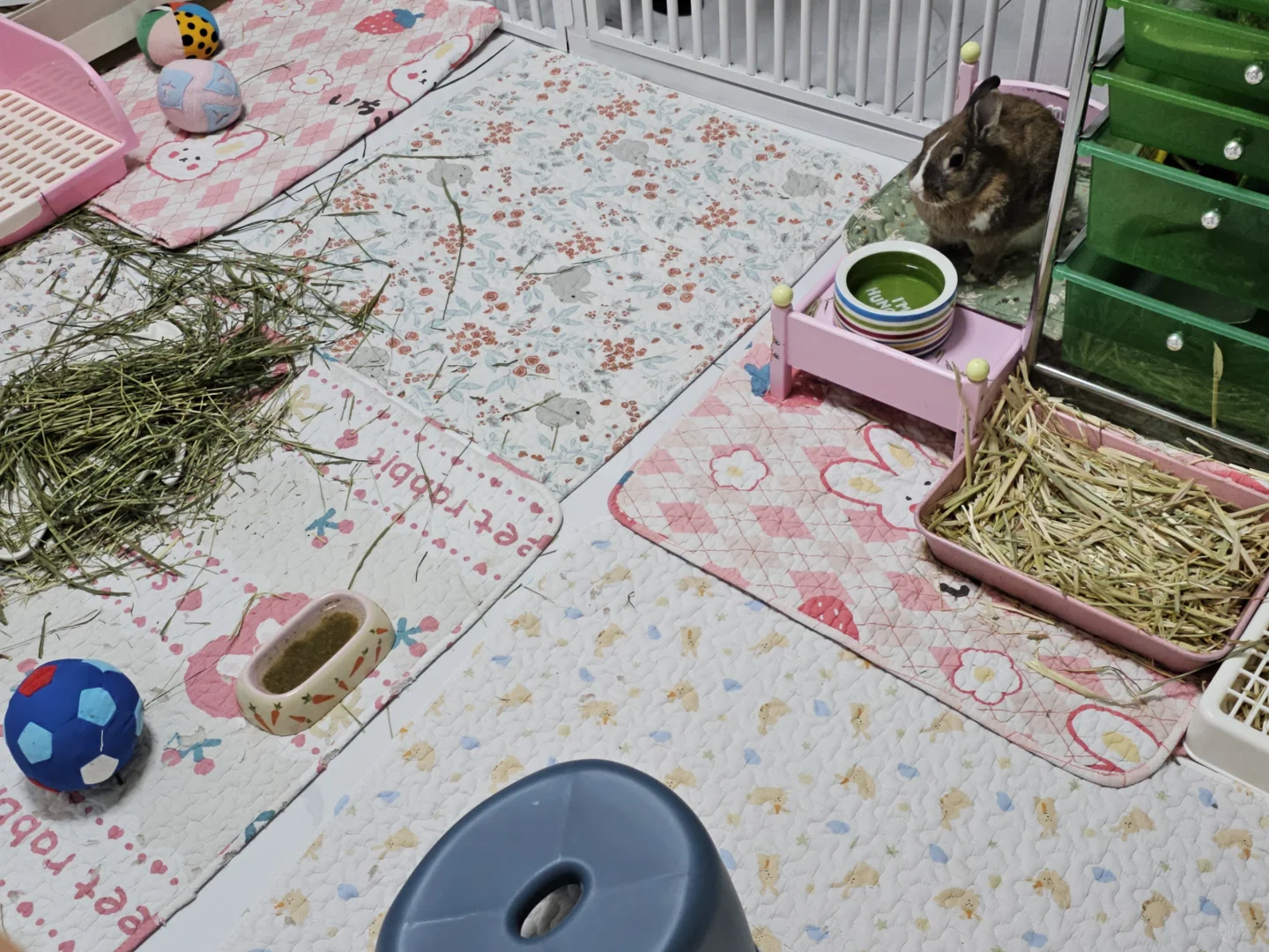 超值单品:公主兔床