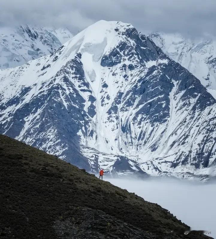 当你历经一场生死考验后，会蓦地醒悟，人来到这世间着实不易，生命仅有一次。珍惜身边