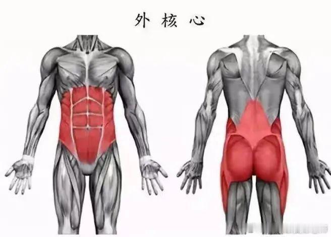 核心训练 核心肌群很重要，那么如何正确核心训练？首先我们得知道，什么是核心肌群，