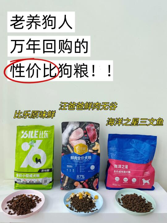 老养狗人怒推的性价比狗粮｜平价狗粮推荐