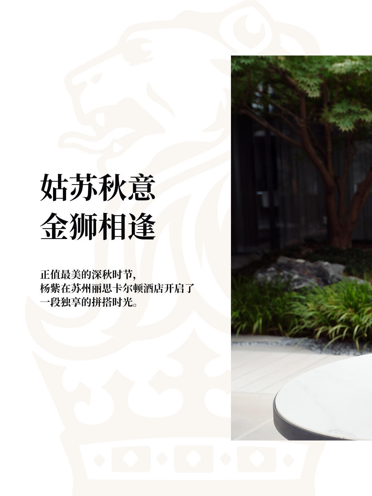 杨紫[超话]杨紫1106生日快乐 好美的杨紫呀！红裙皮衣红鞋，又甜又飒，永远不知