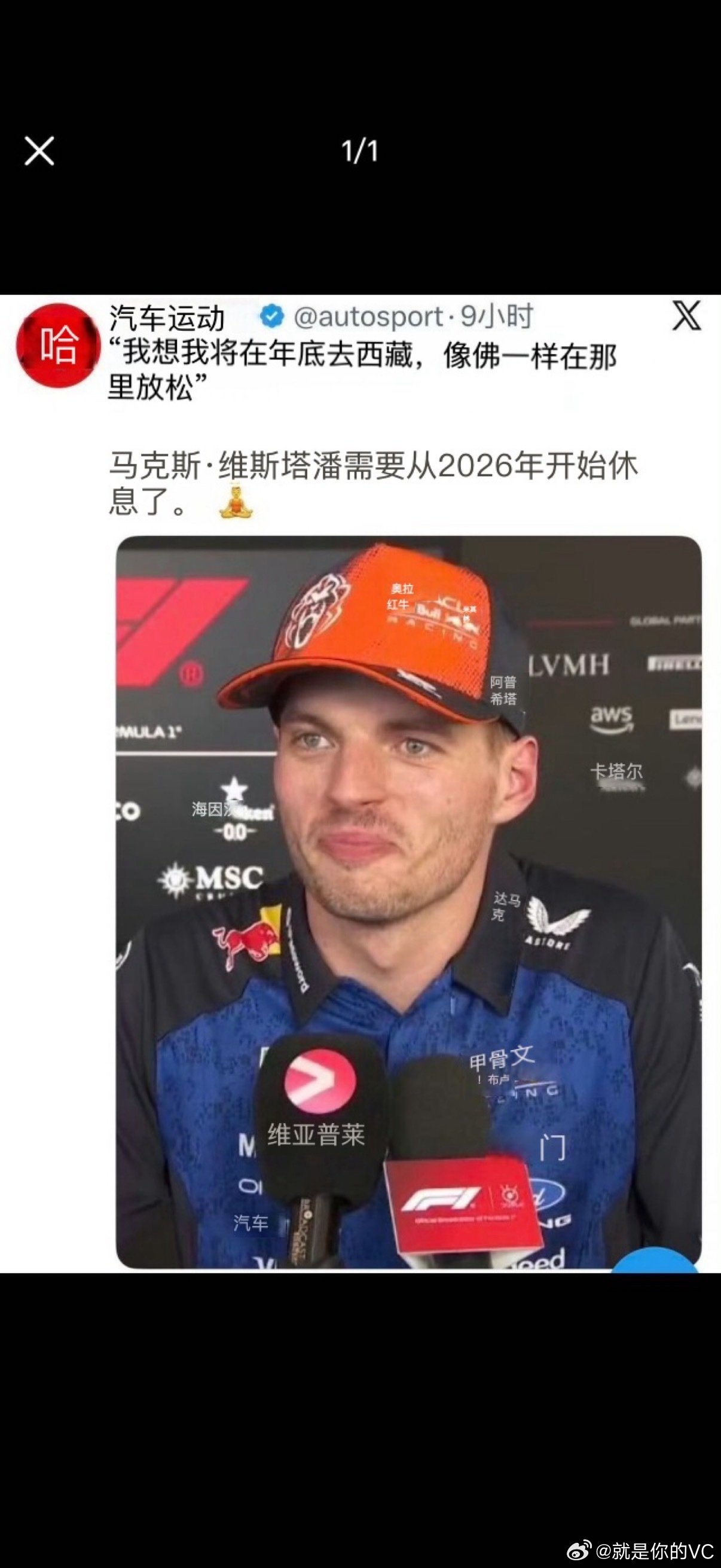 你潘已力竭 已沉默 已投降 已绝望 已崩溃已无助已求佛已倒下已上吊已归隐田园 已