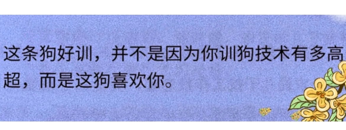 代一下产产 