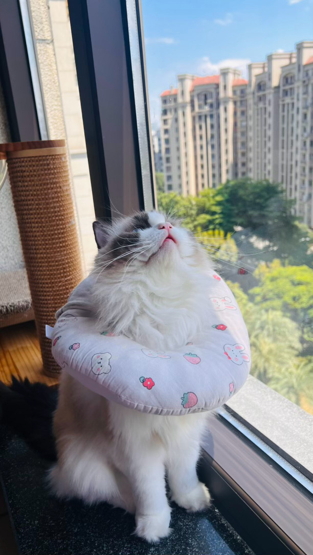 给点阳光就灿烂