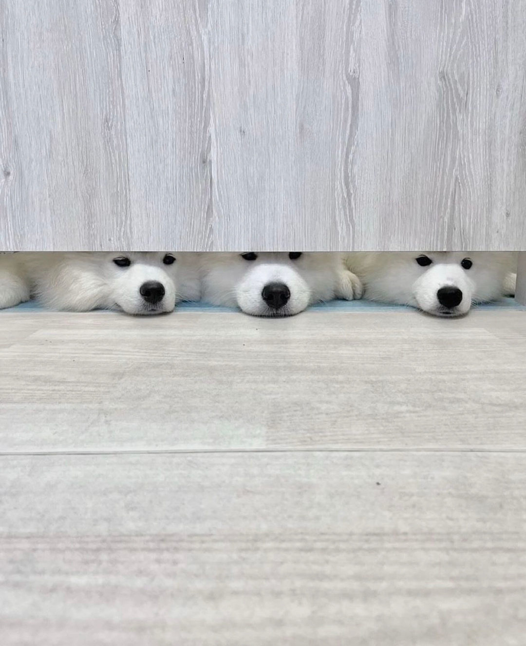 近几年很流行的可移动插排 