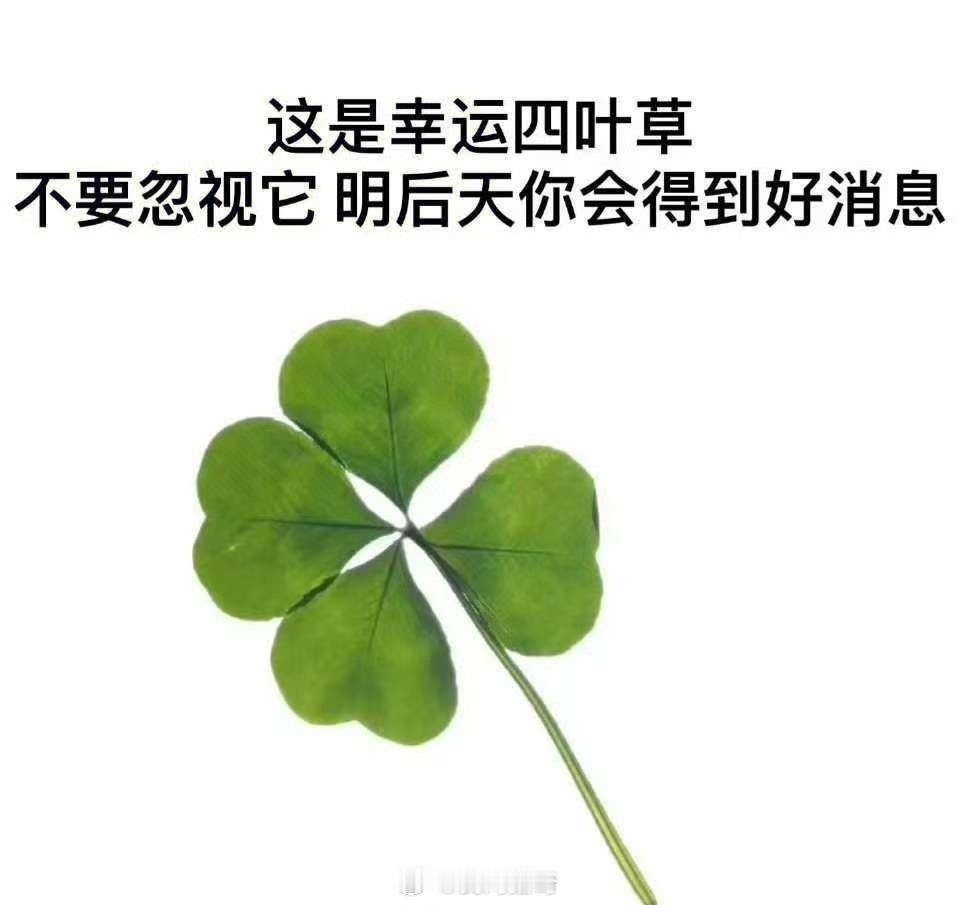 转发这株幸运草，年底前好消息接二连三，绵绵不绝🍀🍀🍀🍀🍀🍀  