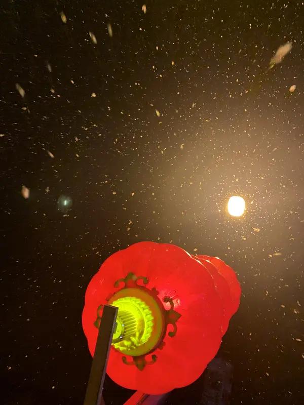 北京正月十六出现“雪打灯”景观，还挺有冬日韵味。这雪得益于低层偏东风和高空槽的配