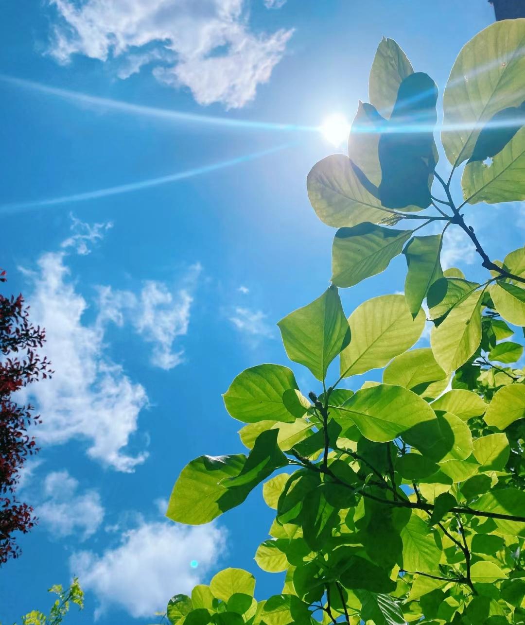强者思维：顺其自然
放开心态。太执着于各种规划与安排，按照既定路线行驶，稍微偏离