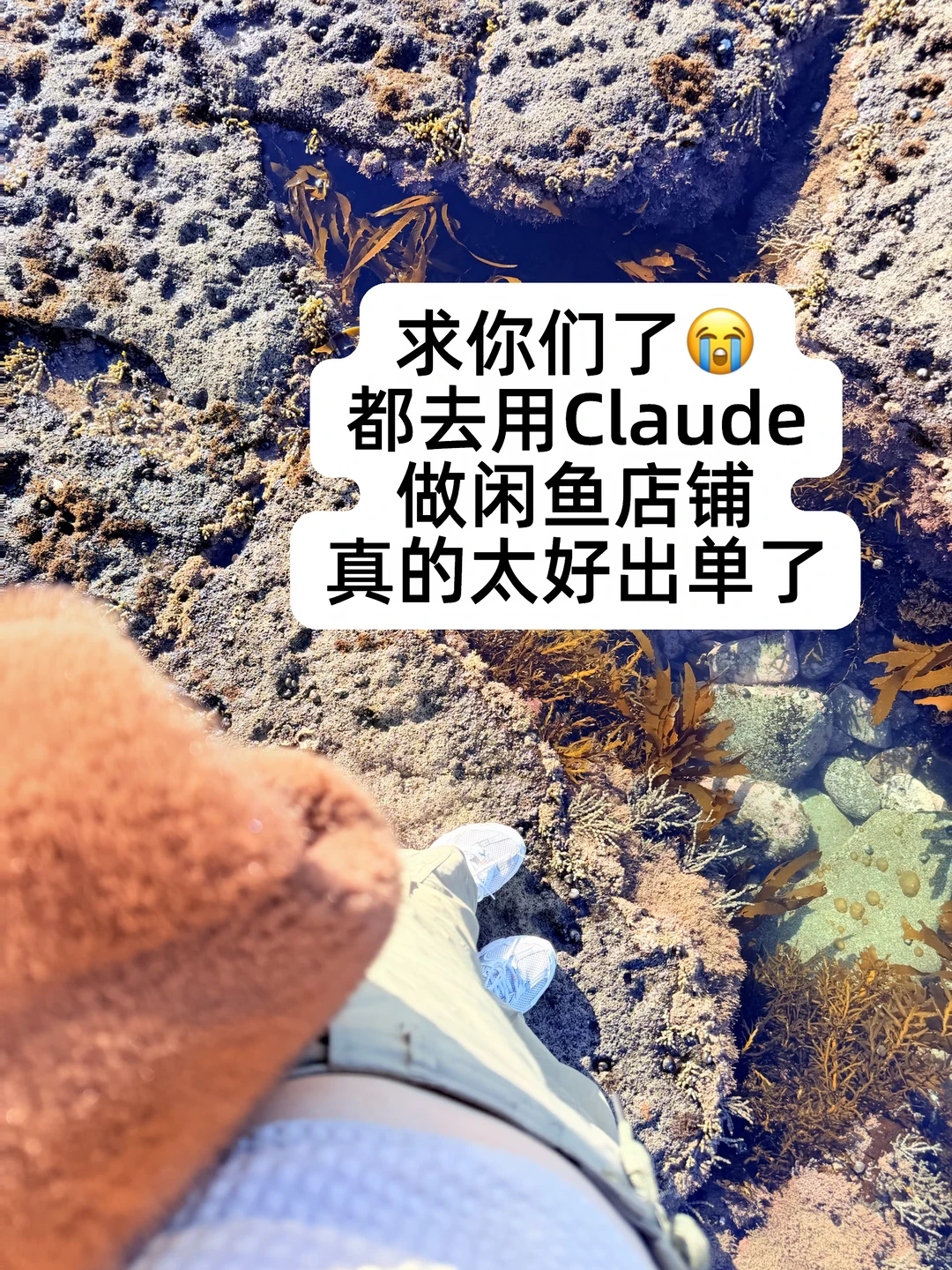 亲测好用！都去用Claude做闲鱼店铺