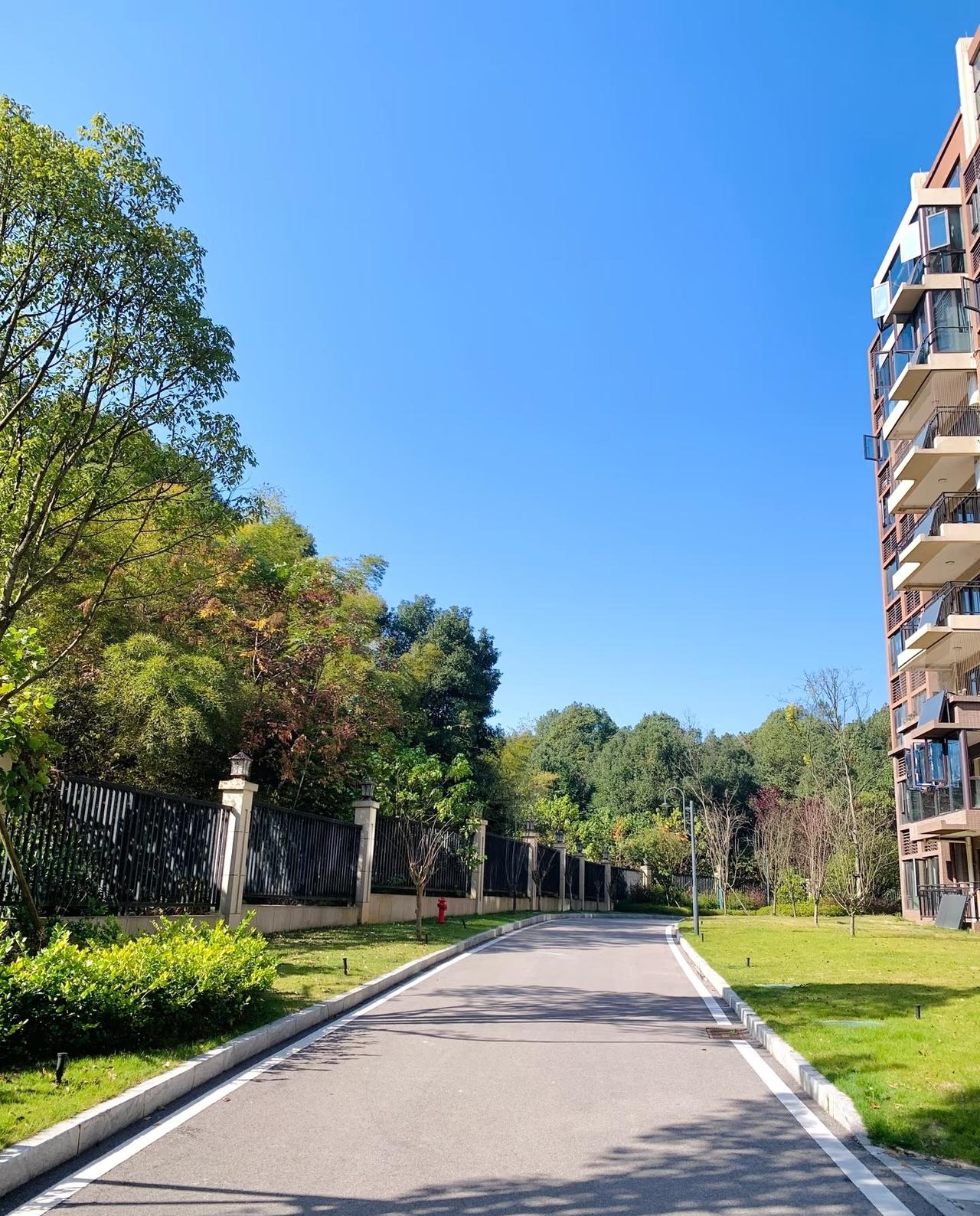 1、不要把同事当朋友，要当盟友。
2、不要和同事说过多自己的隐私。
3、公司组织