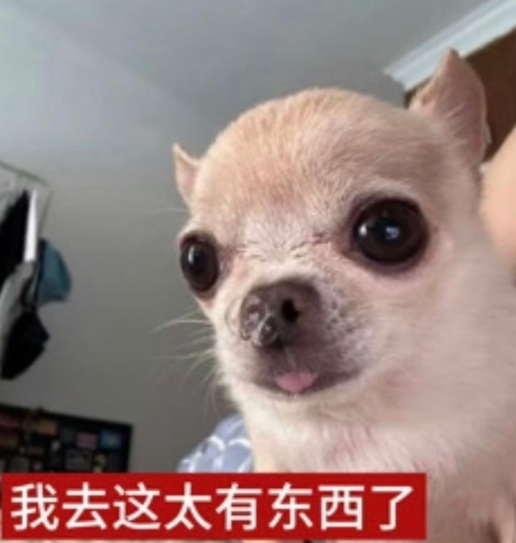 章时安好适合环大陆麦麸直播啧啧 