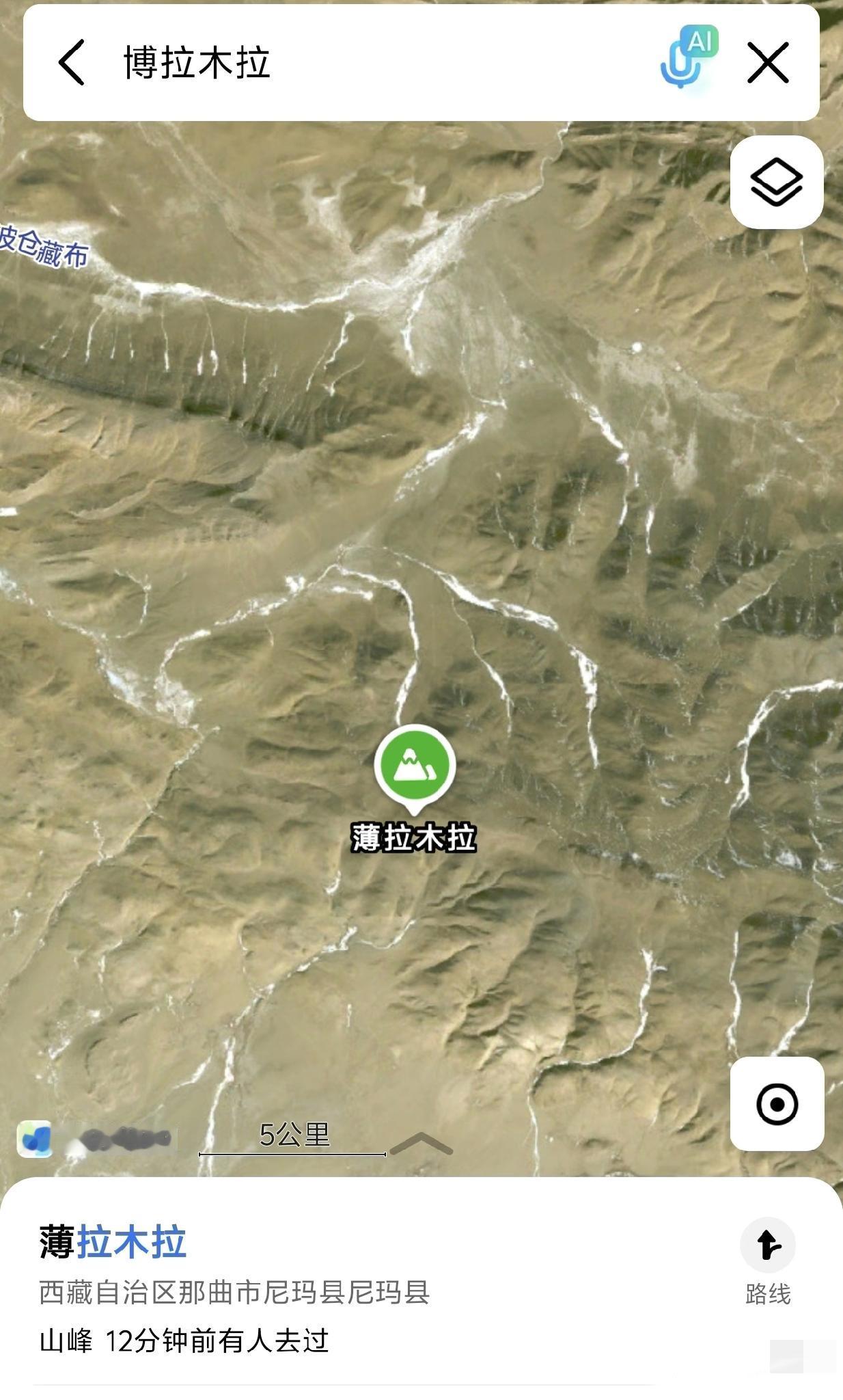 博拉木拉《生命树》在博拉木拉，我看到了藏羚羊多杰生命树 生命树藏地美学 生命树扎