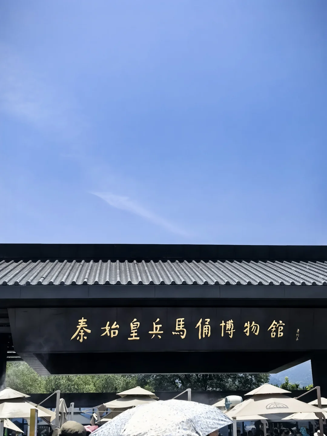 一去一个不吱声兵马俑