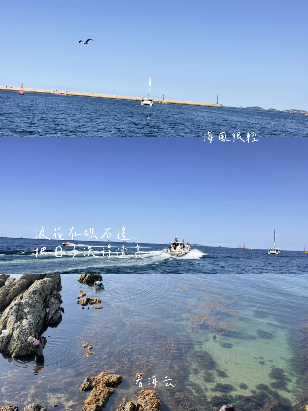 奔赴烟台的海，晚风皆是温柔🌊