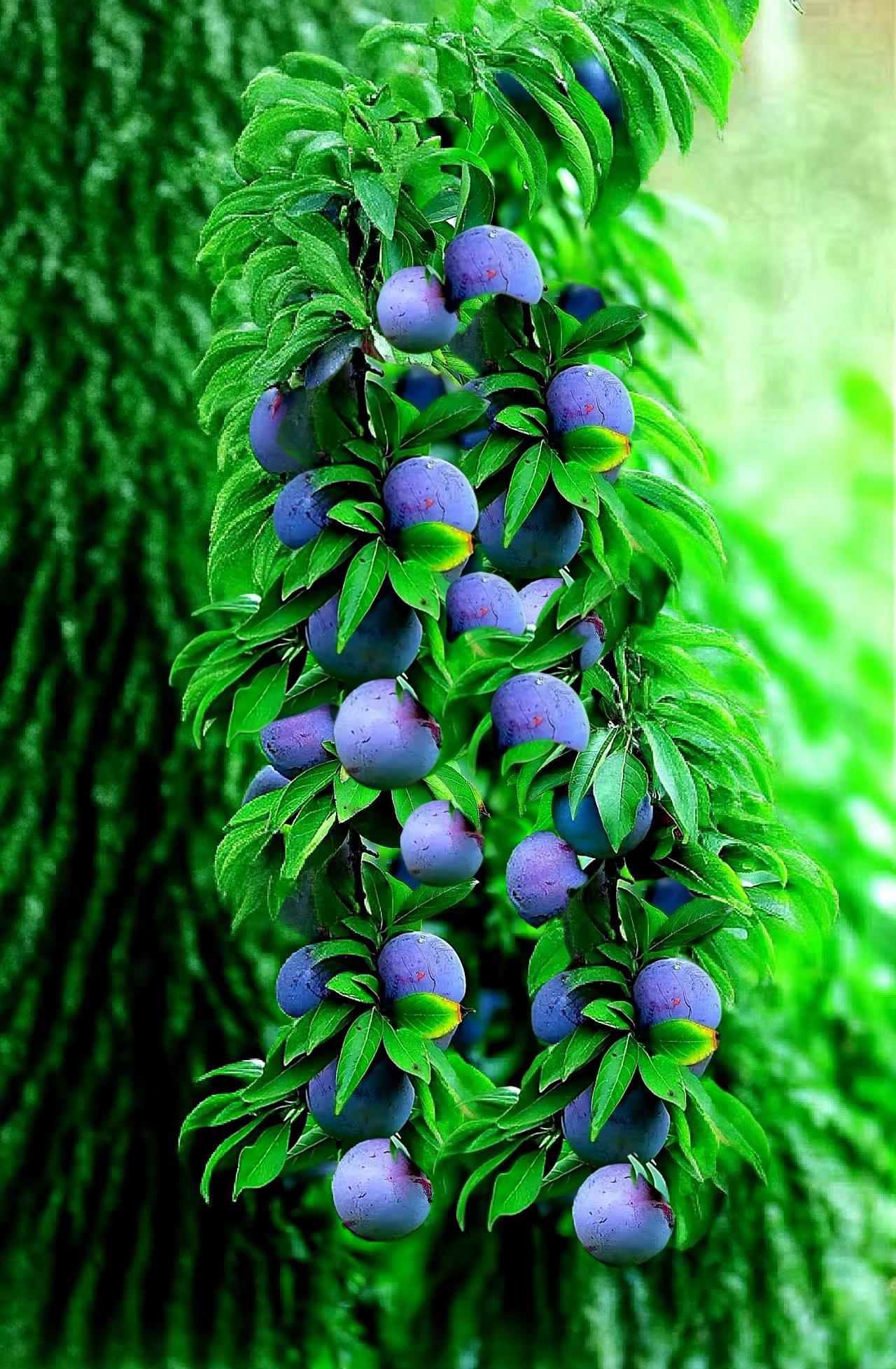 快乐就发。内容有AI处理部分欣赏时注意甄别