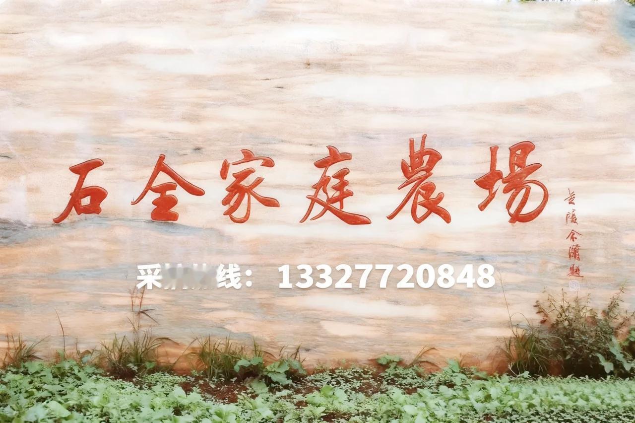 《这个“五一”带娃来南京浦口“抓毛毛虫”
吃吧》
      “五一”带娃踏春出