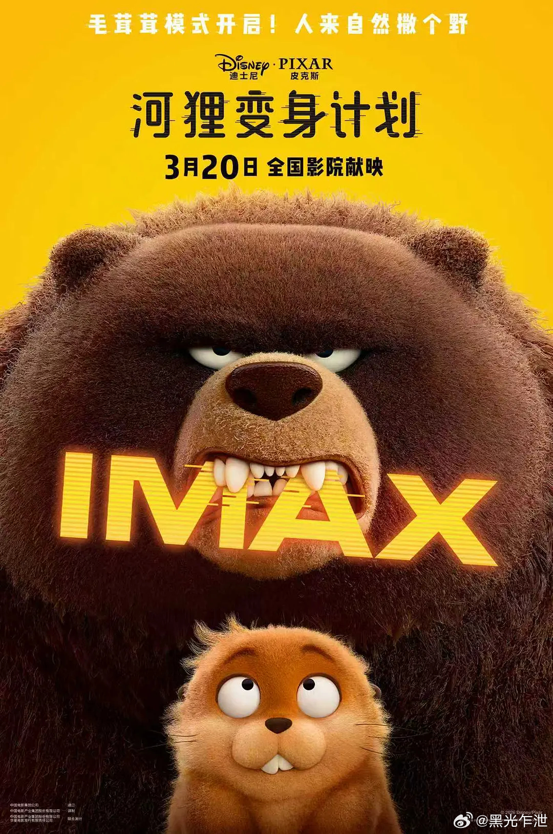 《河狸变身计划》豆瓣开分7.7： 